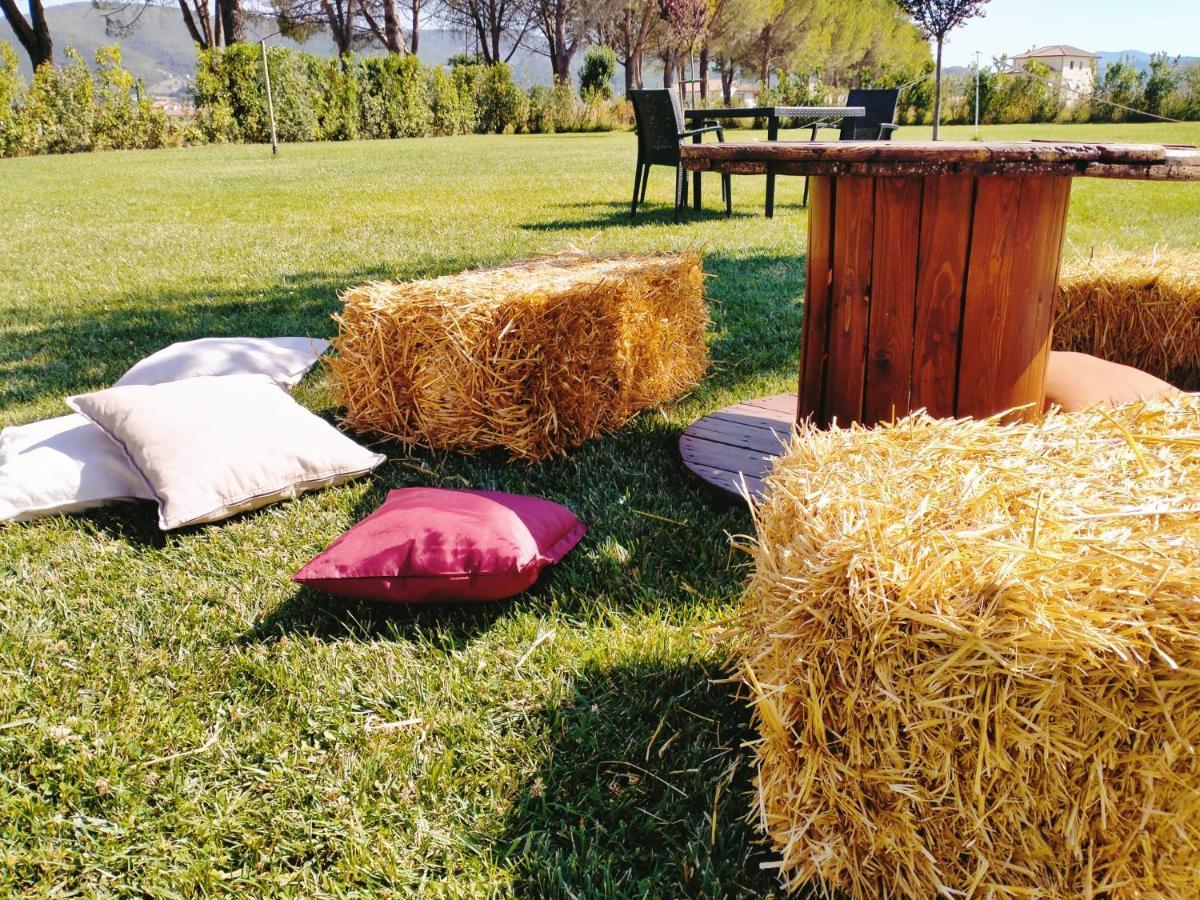 Il Pianaccio Farm stay *